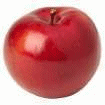 flies.gif (13772 bytes)
