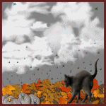 spiders.gif (22077 bytes)